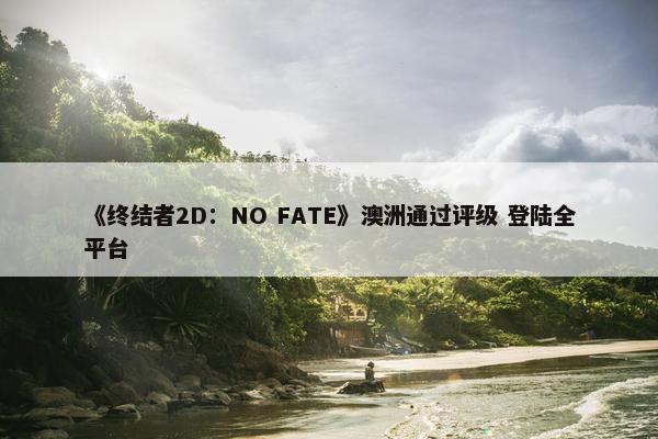 《终结者2D：NO FATE》澳洲通过评级 登陆全平台