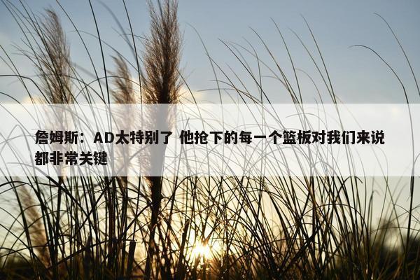 詹姆斯：AD太特别了 他抢下的每一个篮板对我们来说都非常关键