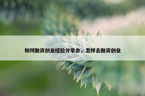 如何融资创业经验分享会，怎样去融资创业