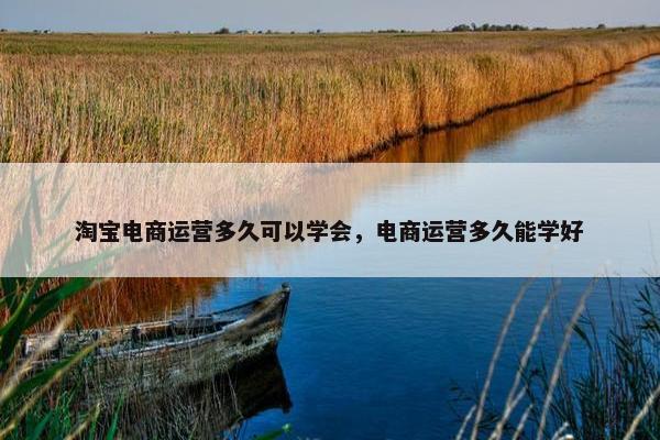 淘宝电商运营多久可以学会，电商运营多久能学好