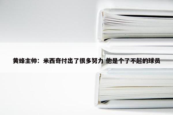 黄蜂主帅：米西奇付出了很多努力 他是个了不起的球员