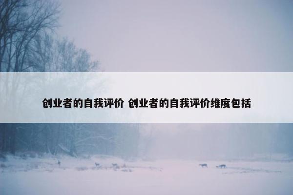 创业者的自我评价 创业者的自我评价维度包括