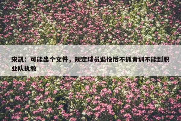 宋凯：可能出个文件，规定球员退役后不抓青训不能到职业队执教