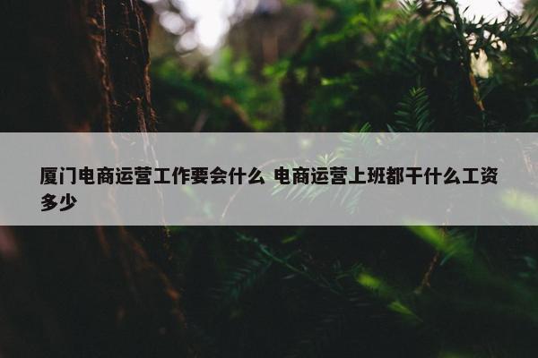 厦门电商运营工作要会什么 电商运营上班都干什么工资多少