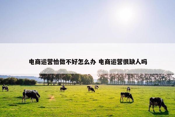 电商运营怕做不好怎么办 电商运营很缺人吗