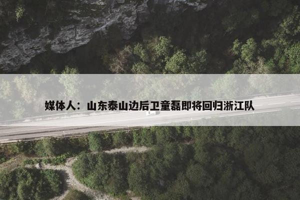 媒体人：山东泰山边后卫童磊即将回归浙江队