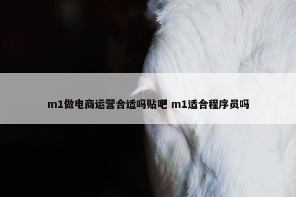 m1做电商运营合适吗贴吧 m1适合程序员吗