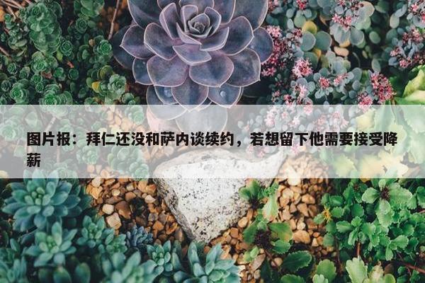 图片报：拜仁还没和萨内谈续约，若想留下他需要接受降薪