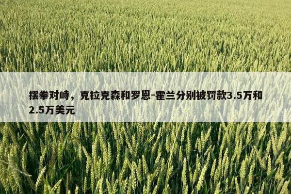 摆拳对峙，克拉克森和罗恩-霍兰分别被罚款3.5万和2.5万美元