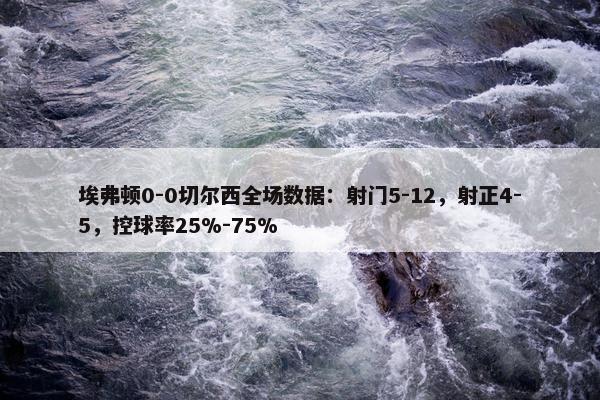 埃弗顿0-0切尔西全场数据：射门5-12，射正4-5，控球率25%-75%