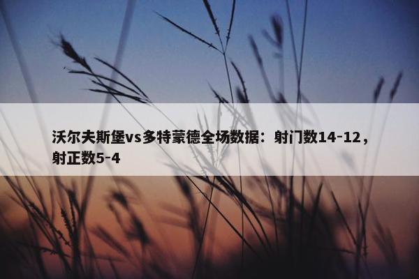 沃尔夫斯堡vs多特蒙德全场数据：射门数14-12，射正数5-4