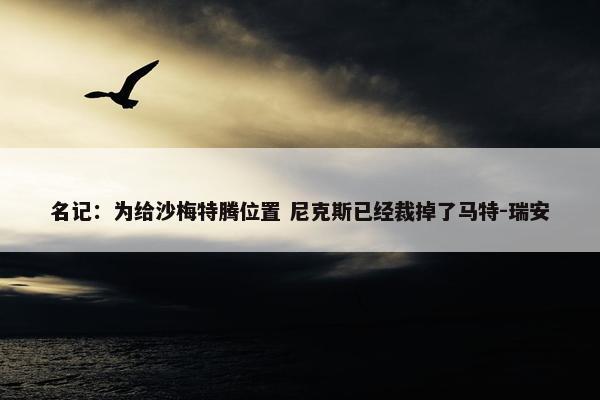 名记：为给沙梅特腾位置 尼克斯已经裁掉了马特-瑞安