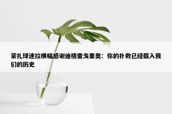 蒙扎球迷拉横幅感谢迪格雷戈里奥：你的扑救已经载入我们的历史