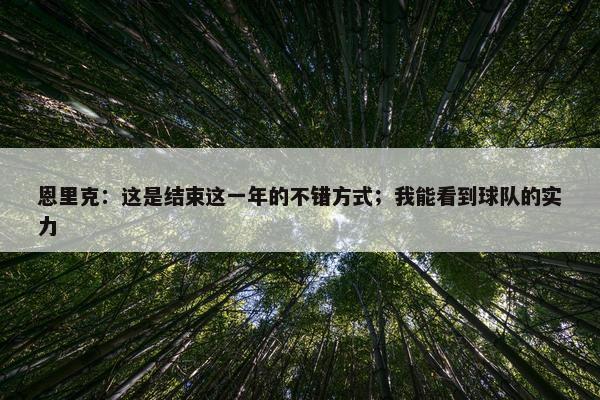 恩里克：这是结束这一年的不错方式；我能看到球队的实力