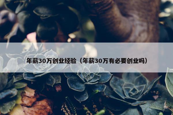 年薪30万创业经验（年薪30万有必要创业吗）