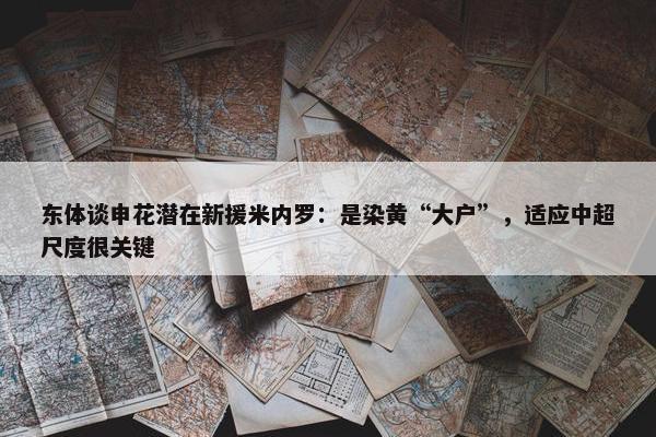 东体谈申花潜在新援米内罗：是染黄“大户”，适应中超尺度很关键