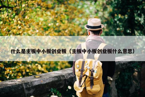 什么是主板中小板创业板（主板中小板创业板什么意思）