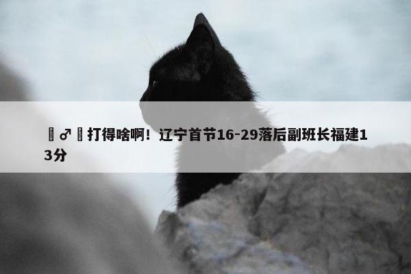 ‍♂️打得啥啊！辽宁首节16-29落后副班长福建13分