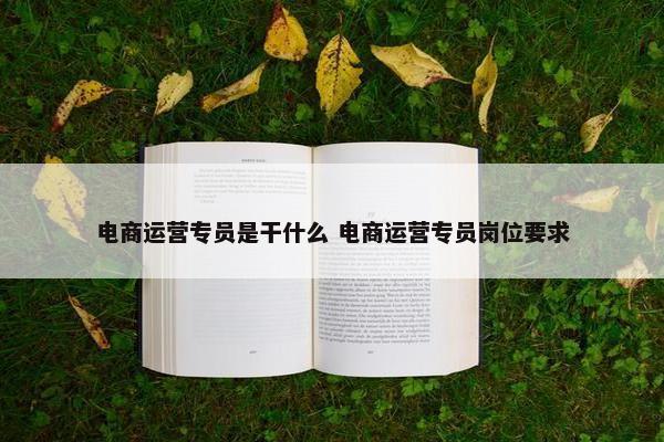 电商运营专员是干什么 电商运营专员岗位要求