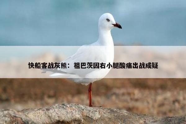 快船客战灰熊：祖巴茨因右小腿酸痛出战成疑