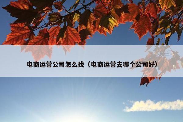 电商运营公司怎么找（电商运营去哪个公司好）