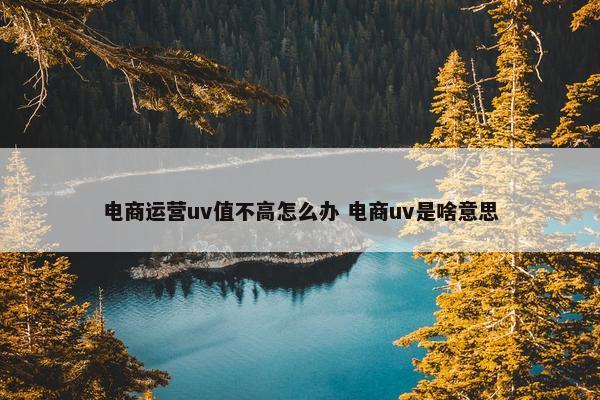 电商运营uv值不高怎么办 电商uv是啥意思