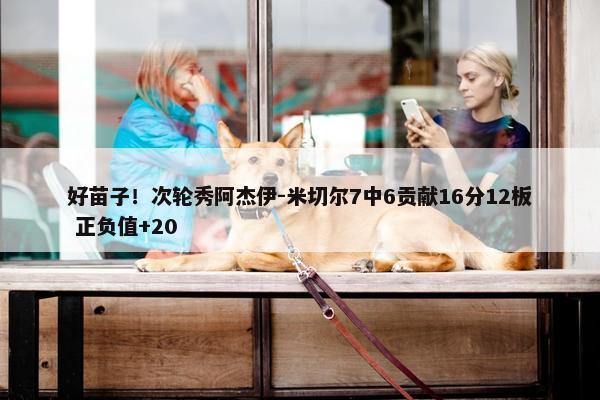 好苗子！次轮秀阿杰伊-米切尔7中6贡献16分12板 正负值+20