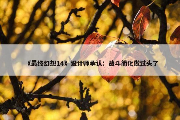 《最终幻想14》设计师承认：战斗简化做过头了