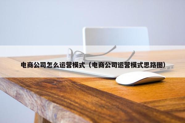 电商公司怎么运营模式（电商公司运营模式思路图）