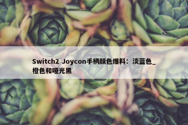 Switch2 Joycon手柄颜色爆料：淡蓝色_橙色和哑光黑