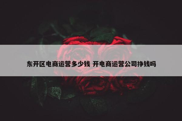 东开区电商运营多少钱 开电商运营公司挣钱吗