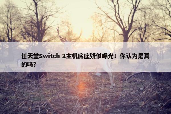 任天堂Switch 2主机底座疑似曝光！你认为是真的吗？