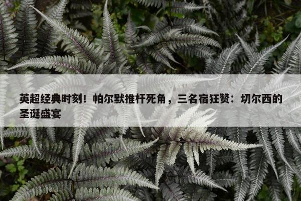 英超经典时刻！帕尔默推杆死角，三名宿狂赞：切尔西的圣诞盛宴