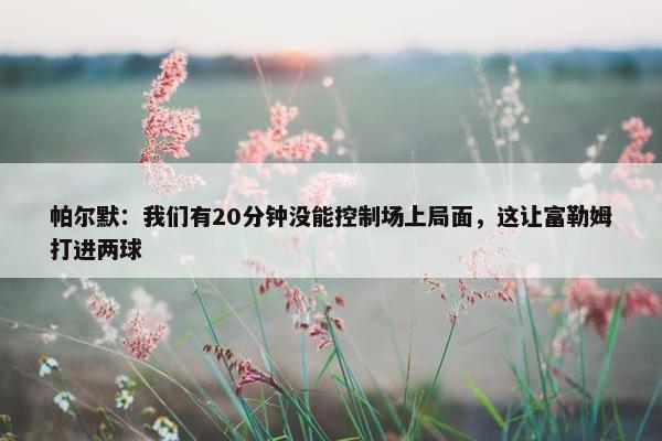 帕尔默：我们有20分钟没能控制场上局面，这让富勒姆打进两球