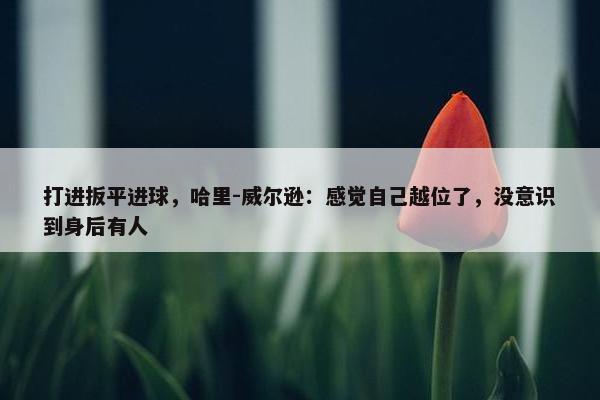 打进扳平进球，哈里-威尔逊：感觉自己越位了，没意识到身后有人