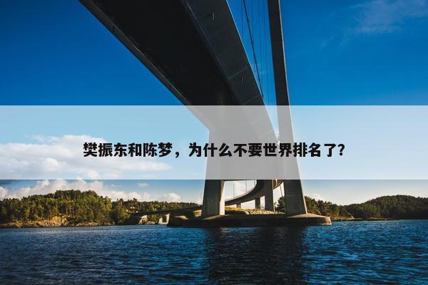 樊振东和陈梦，为什么不要世界排名了？