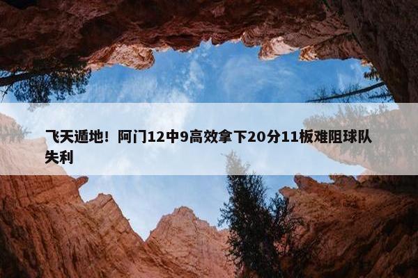 飞天遁地！阿门12中9高效拿下20分11板难阻球队失利