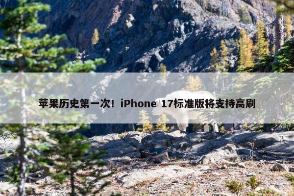 苹果历史第一次！iPhone 17标准版将支持高刷