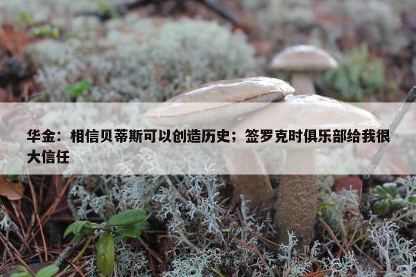 华金：相信贝蒂斯可以创造历史；签罗克时俱乐部给我很大信任