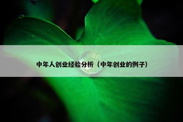 中年人创业经验分析（中年创业的例子）