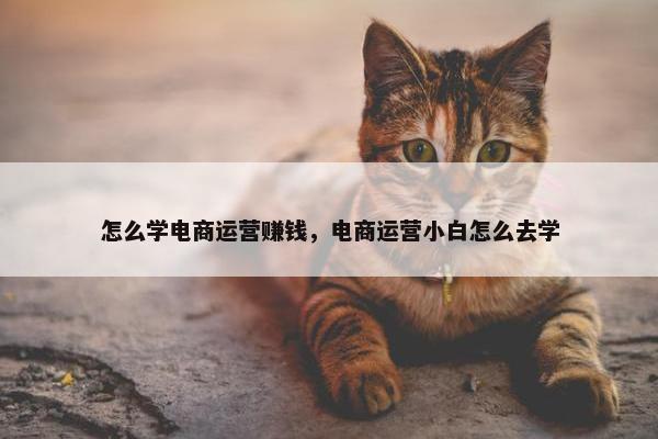 怎么学电商运营赚钱，电商运营小白怎么去学