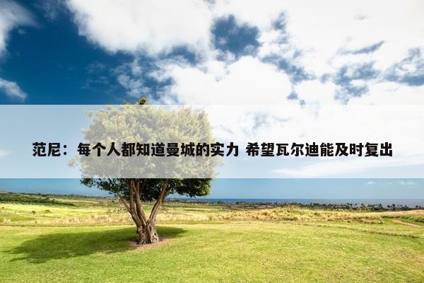 范尼：每个人都知道曼城的实力 希望瓦尔迪能及时复出