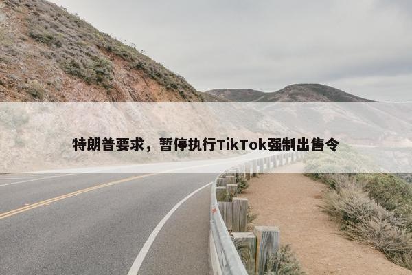 特朗普要求，暂停执行TikTok强制出售令