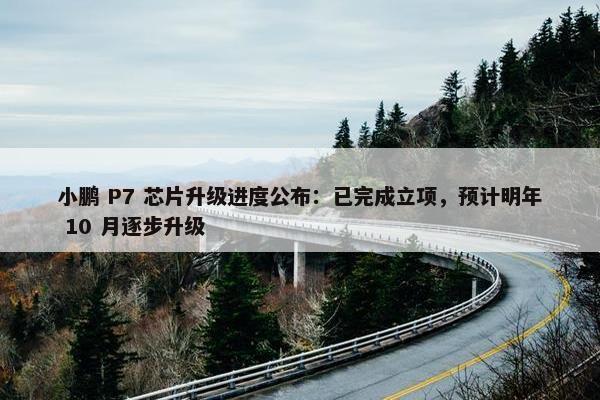 小鹏 P7 芯片升级进度公布：已完成立项，预计明年 10 月逐步升级