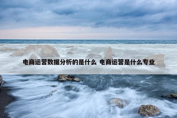 电商运营数据分析的是什么 电商运营是什么专业