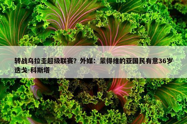 转战乌拉圭超级联赛？外媒：蒙得维的亚国民有意36岁迭戈-科斯塔