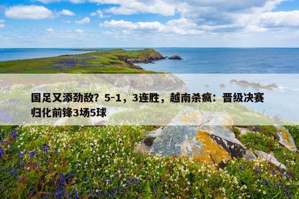 国足又添劲敌？5-1，3连胜，越南杀疯：晋级决赛 归化前锋3场5球