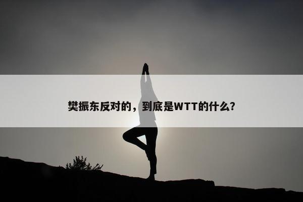 樊振东反对的，到底是WTT的什么？