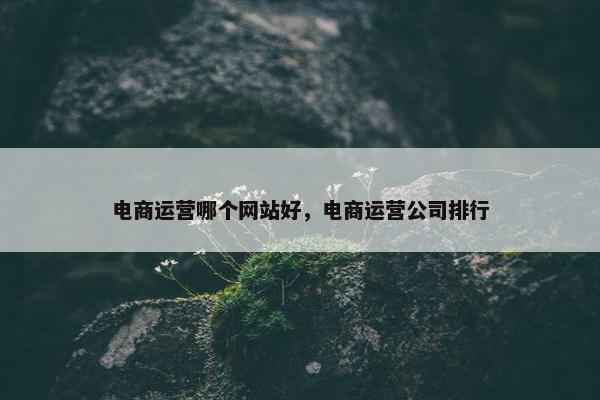 电商运营哪个网站好，电商运营公司排行