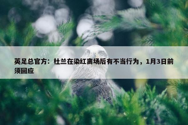 英足总官方：杜兰在染红离场后有不当行为，1月3日前须回应